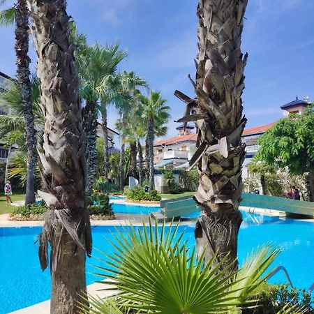 Sunny Apartment Costa Blanca Torre La Mata Exterior foto